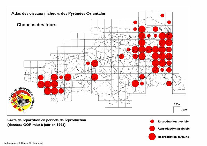 choucas-des-tours.jpg